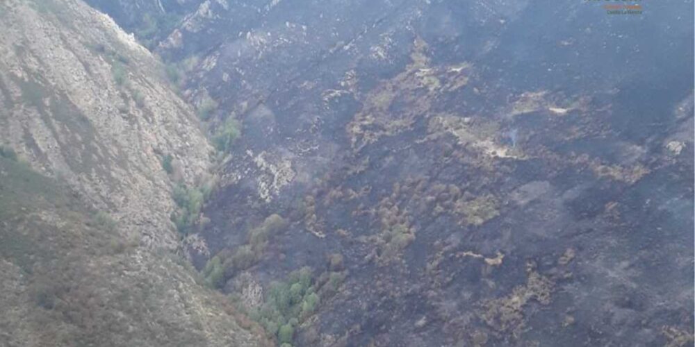 Imagen del incendio de Peñalba de la Sierra (Guadalajara)