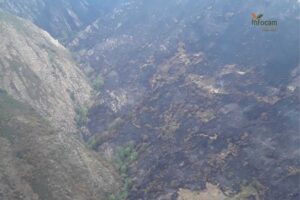 Imagen del incendio de Peñalba de la Sierra (Guadalajara)