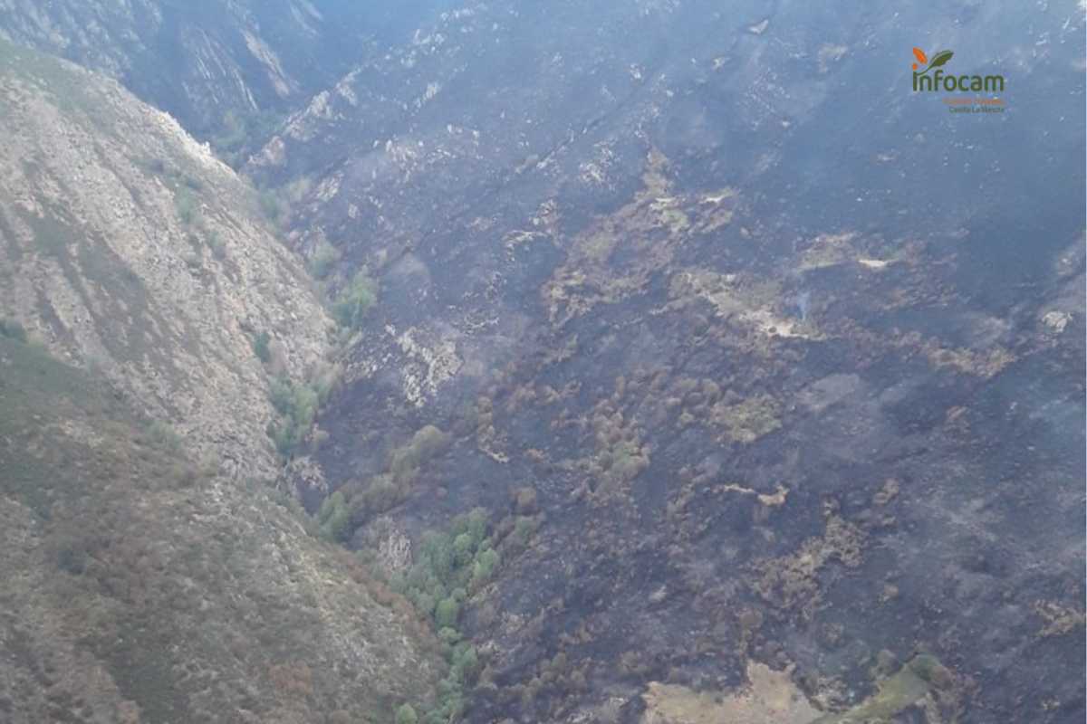 Imagen del incendio de Peñalba.