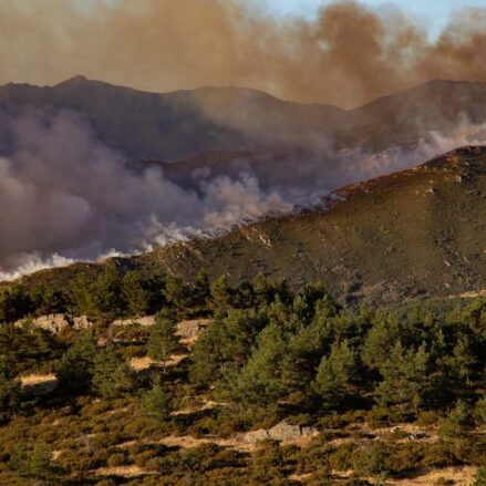 Incendio en Peñalva de la Sierra (Guadalajara) en septiembre. Alcanzó el nivel 2 de peligrosidad. Rafael Bastante - Europa Press.