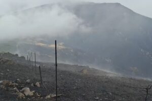 Incendio forestal de Peñalba de la Sierra (Guadalajara) este domingo. Foto: Infocam