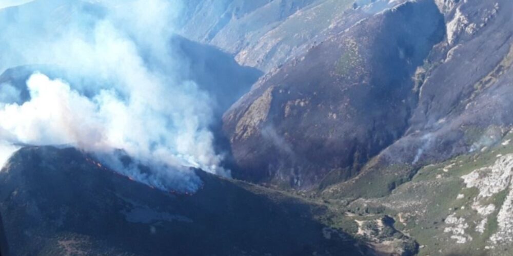 Incendio de Peñalba de la Sierra.