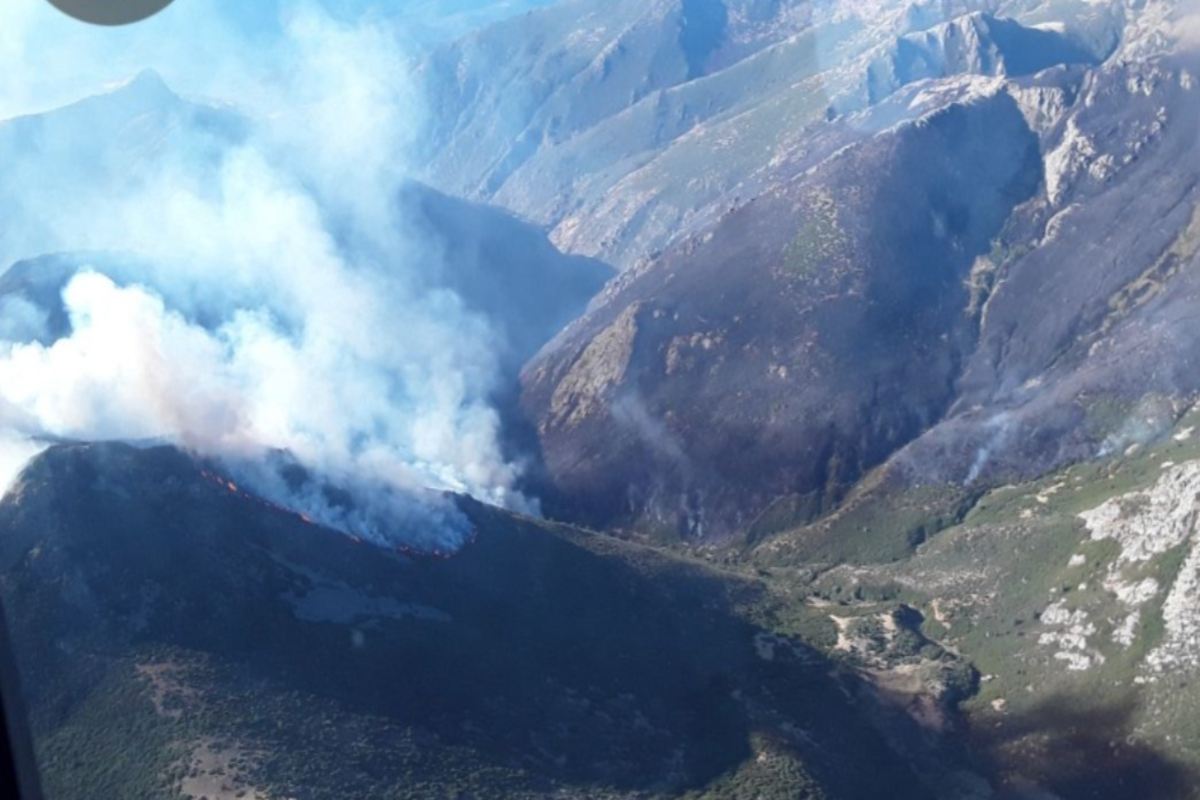 Incendio de Peñalba de la Sierra.
