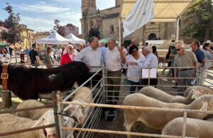 El consejero de Agricultura, Ganadería y Desarrollo Rural, Julián Martínez Lizán.