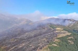 Imagen del incendio en Peñalba de la Sierra.
