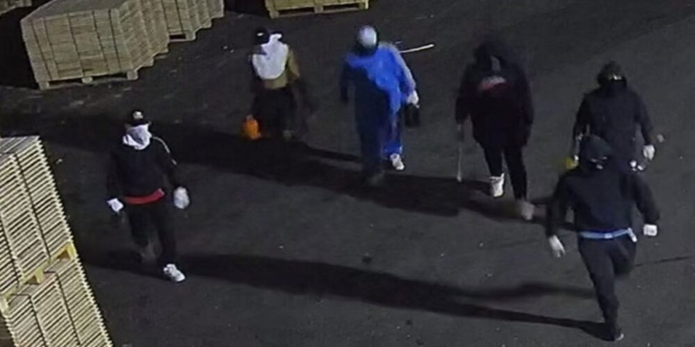 Imagen de uno de los robos cometidos por siete personas detenidas por la Guardia Civil. - GUARDIA CIVIL