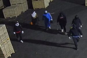 Imagen de uno de los robos cometidos por siete personas detenidas por la Guardia Civil. - GUARDIA CIVIL