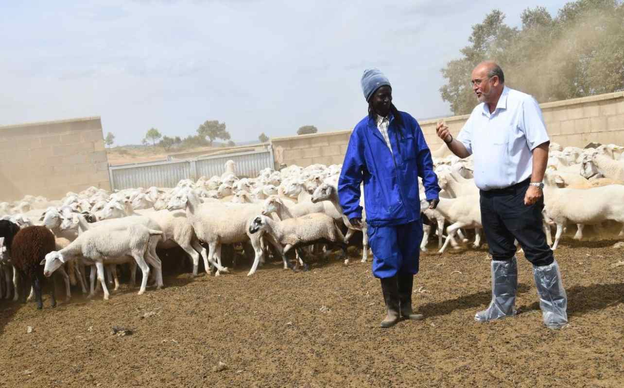 Martínez Guijarro charla con Mamadou Hamet.