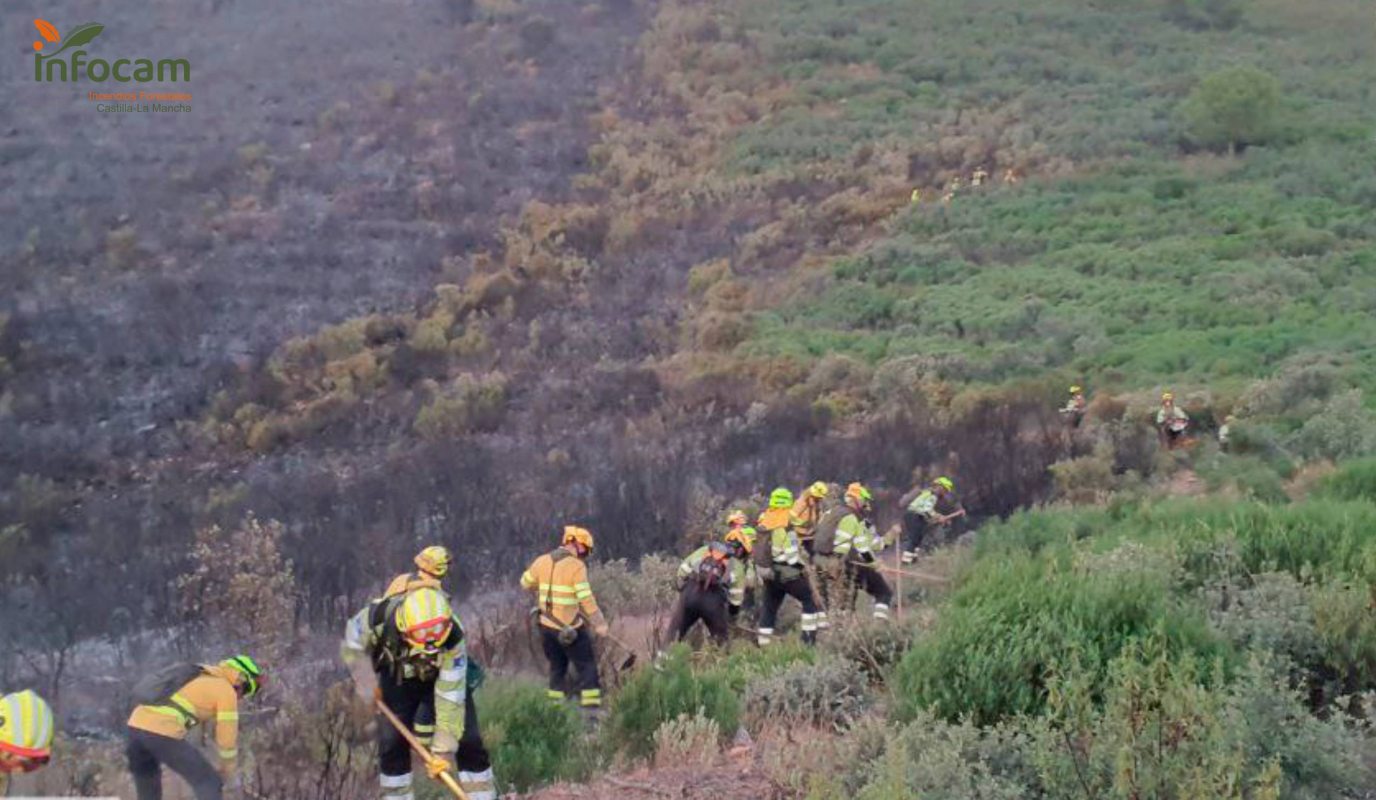 Foto de bomberos forestales, que hallaron los restos.