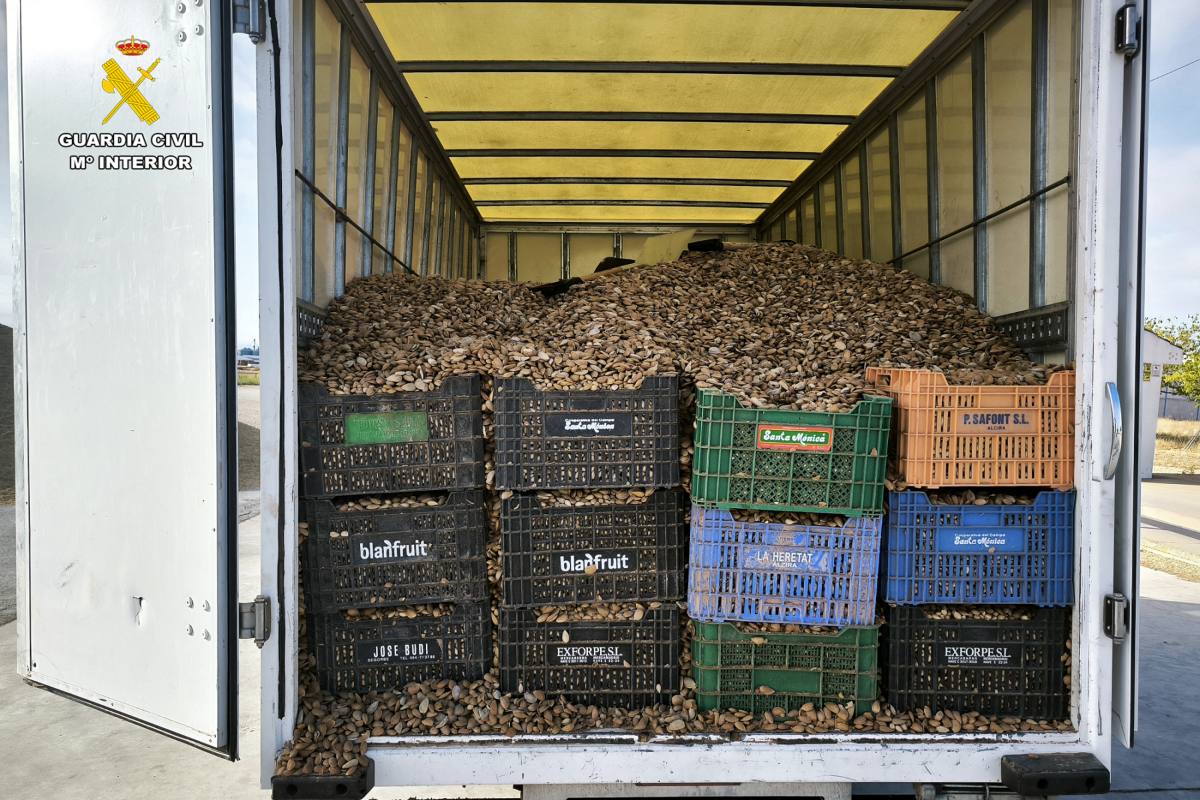 Almendra incautada por la Guardia Civil de La Roda (Albacete)