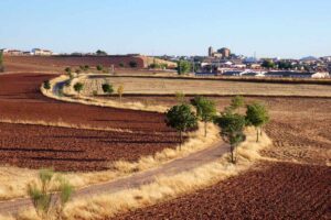 Imagen de Torre de Juan Abad