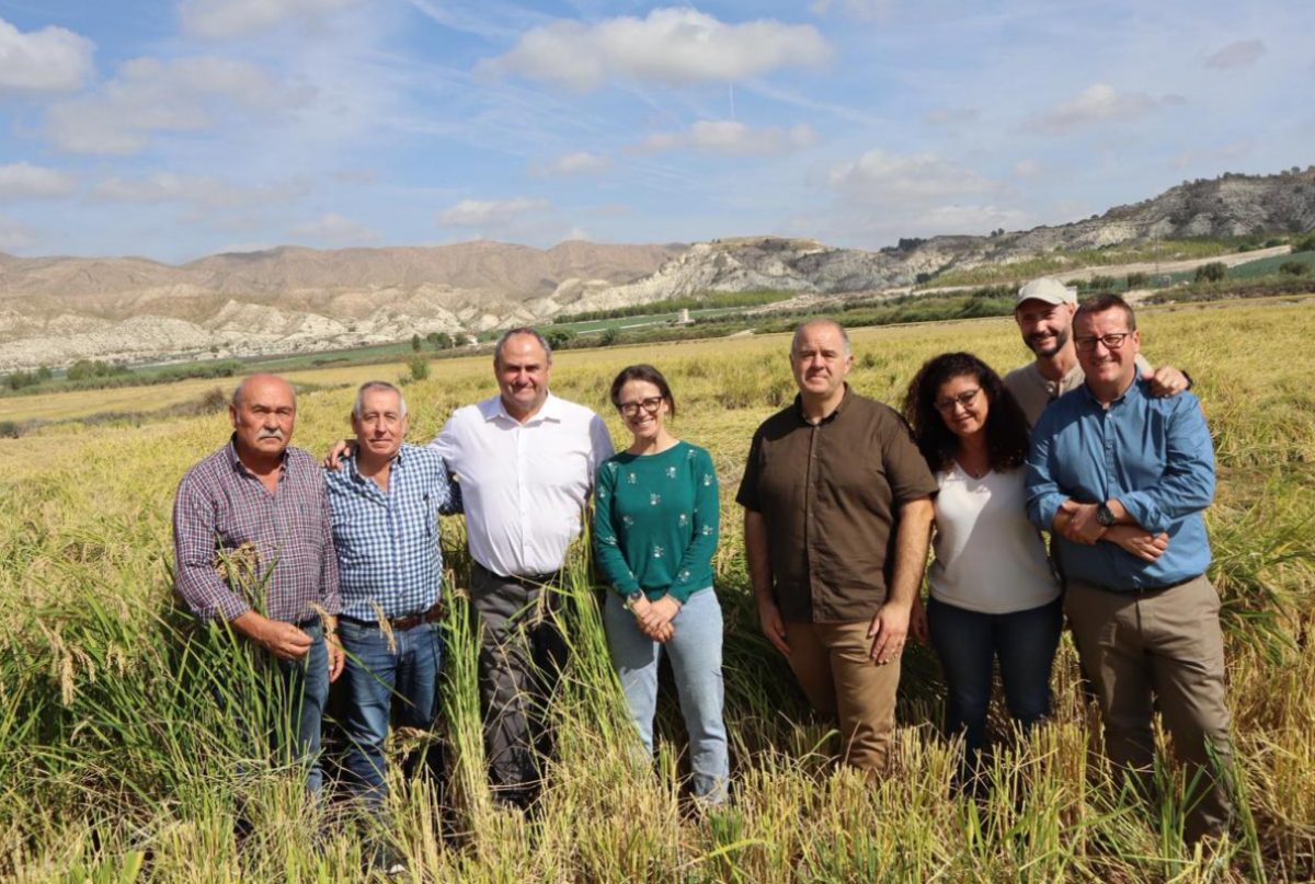 Visita del consejero de Agricultura al Coto Arrocero de Las Minas, pedanía de Hellín (Albacete)