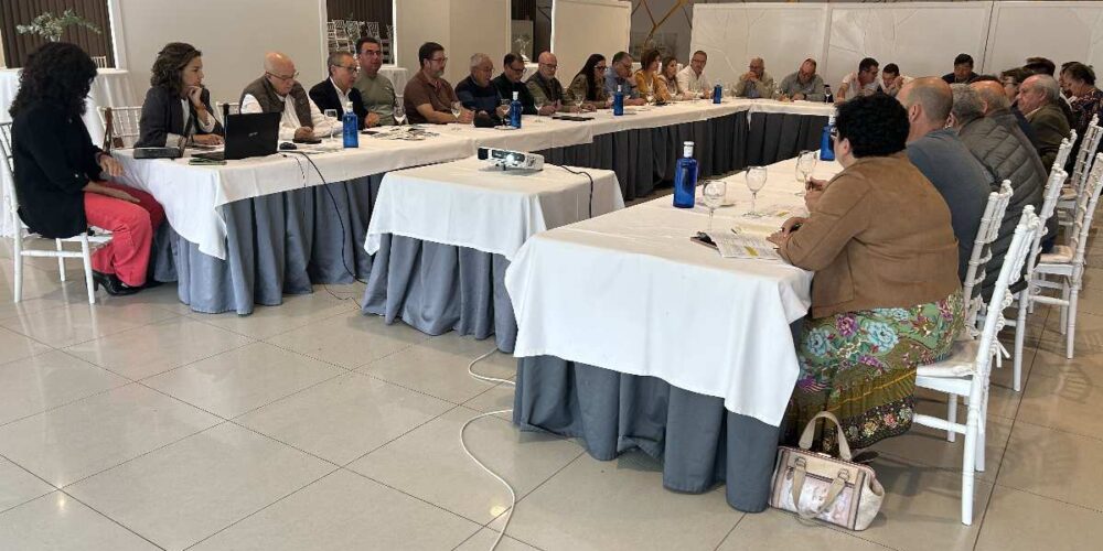 Sectorial Aceite Cooperativas Agro-alimentarias Castilla-La Mancha