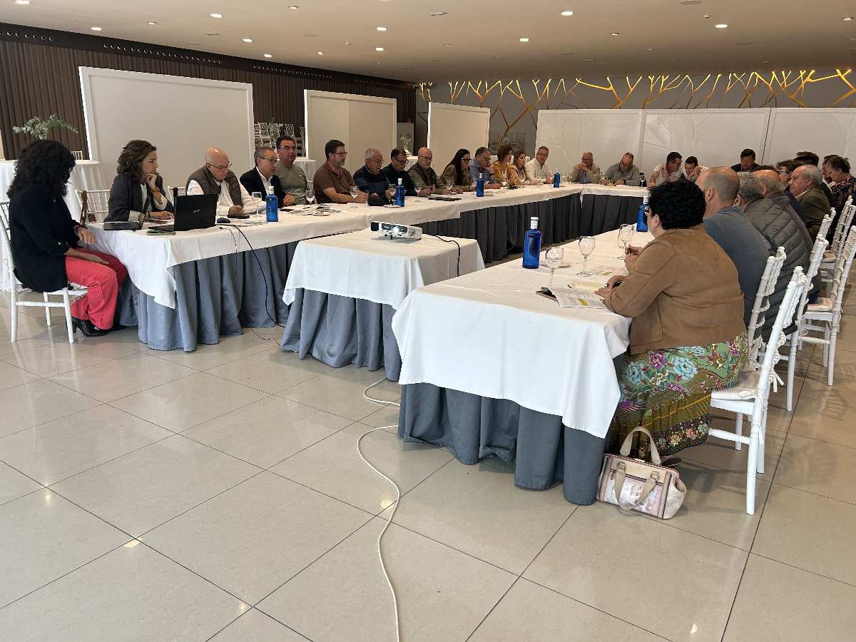 Sectorial Aceite Cooperativas Agro-alimentarias Castilla-La Mancha