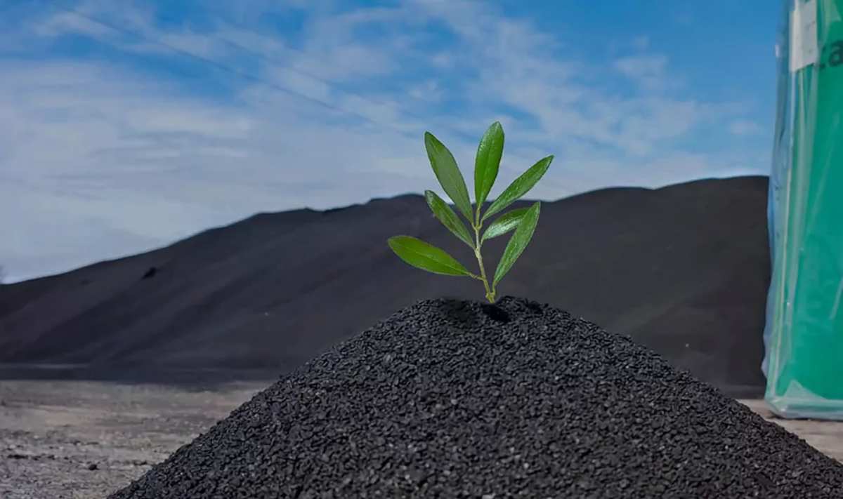 biochar