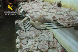 Imagen de la empresa cárnica ilegal. Foto: Guardia Civil de Albacete