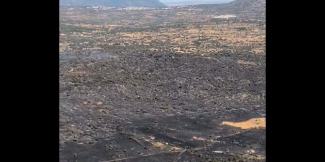 Incendio forestal en Almorox (Toledo). Foto: Infocam