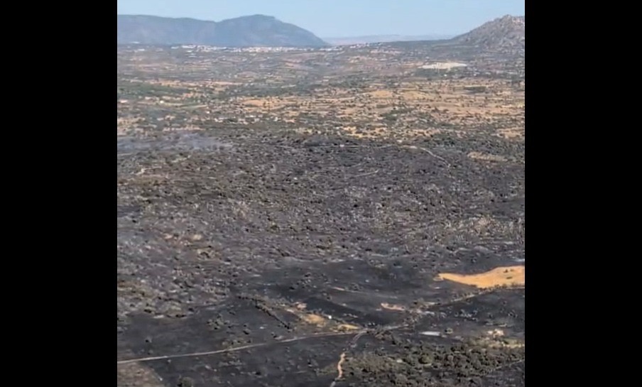 Incendio forestal en Almorox (Toledo). Foto: Infocam