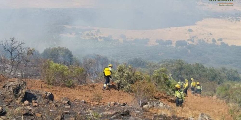 Bomberos forestales, en plena faena (foto de archivo).