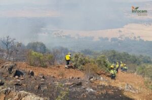 Bomberos forestales, en plena faena (foto de archivo).