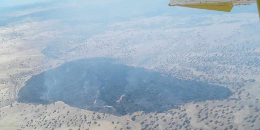 Incendio forestal en Brazatortas.