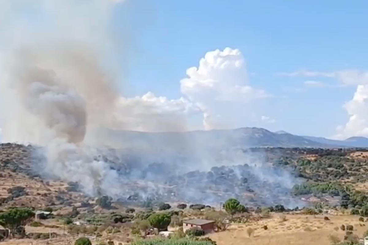 Incendio forestal Almorox (Toledo). Foto: Infocam