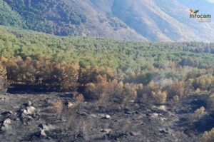 Incendio Peñalba de la Sierra