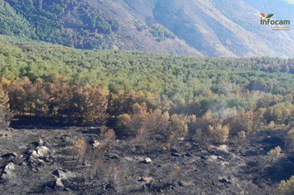 Incendio Peñalba de la Sierra