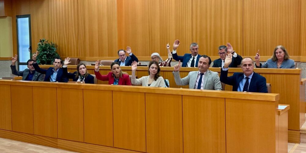 Pleno en el Ayuntamiento de Talavera