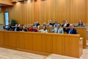 Pleno en el Ayuntamiento de Talavera