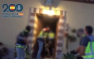 Macrooperación antidroga que comenzó tras un robo en Isso (Albacete)