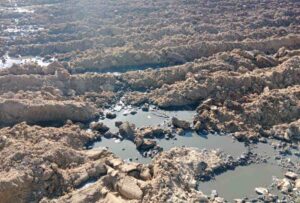Purines en Carboneras de Guadazón (Cuenca).