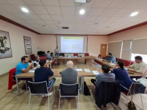 sectorial champiñón