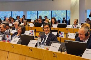 Caballero en Bruselas