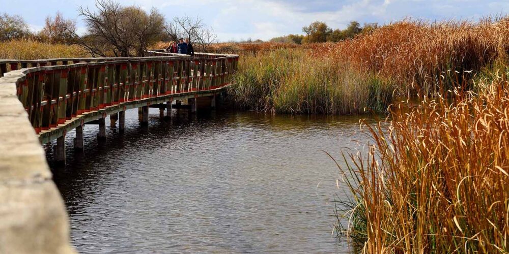 Tablas de Daimiel. Foto: Rebeca Arango.