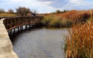 Tablas de Daimiel. Foto: Rebeca Arango.