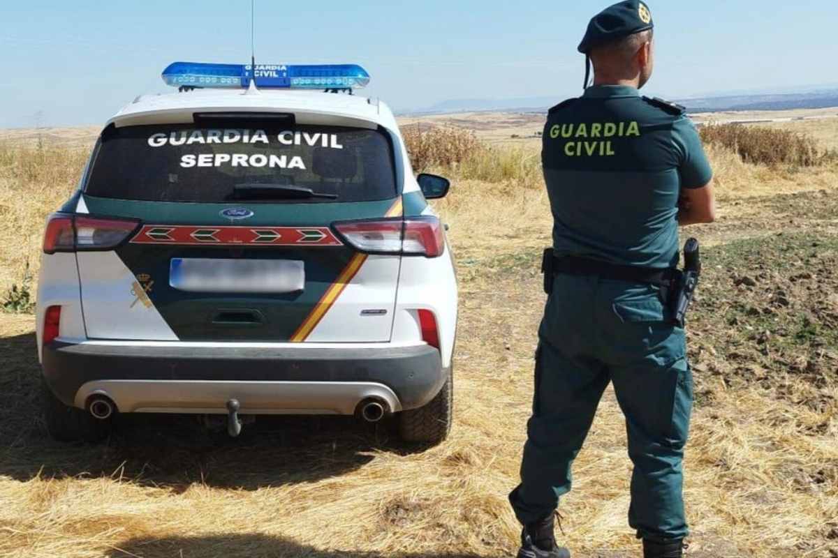 Imagen de archivo del Seprona de la Guardia Civil