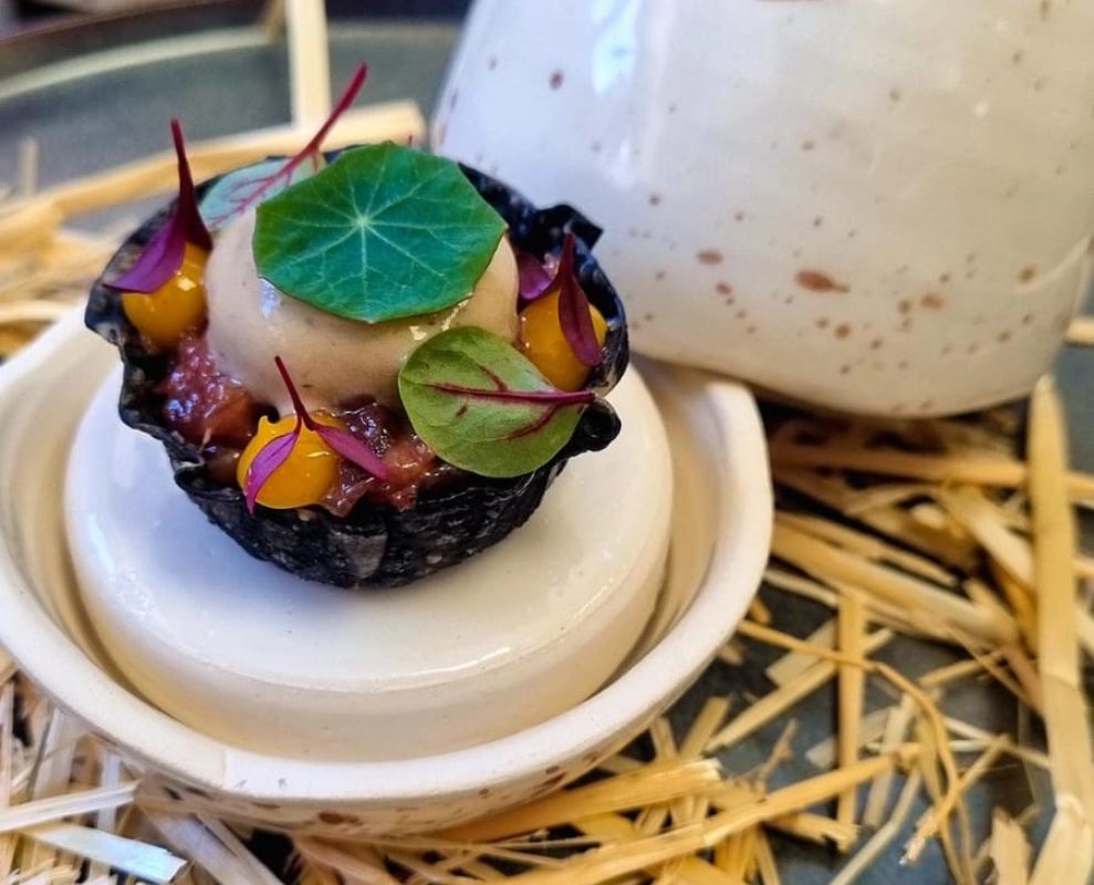 Imagen de la tapa 'Pato y su entorno'