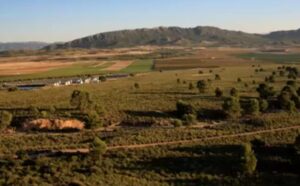 Campos de Hellín. Foto: UNED