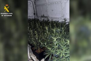 Droga incautada en Escalona (Toledo)