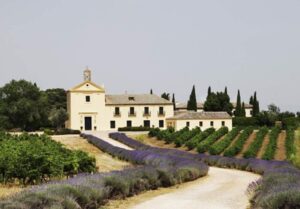 Finca de Dominio de Valdepusa, en Malpica de Tajo, propiedad de la familia Falcó. Foto: Marqués de Griñón.