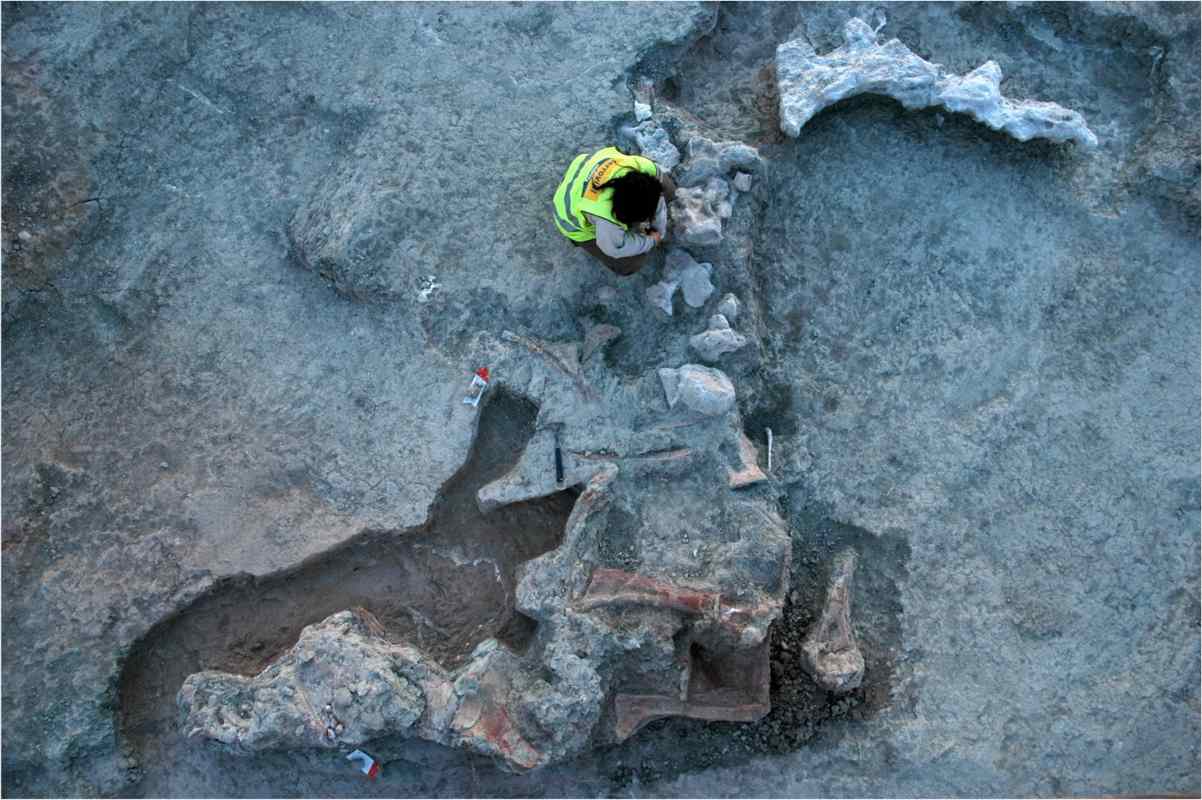 Imagen de las excavaciones de Lo Hueco. dinusaurios