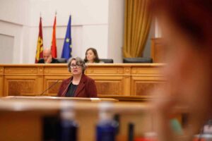 La consejera de Desarrollo Sostenible de Castilla-La Mancha, Mercedes Gómez.