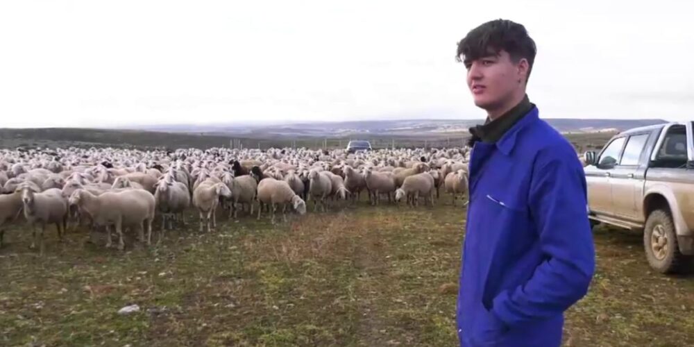 Miguel, ganadero Tortuera Foto: CMMedia