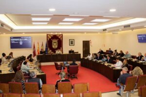 Pleno extraordinario de Albacete