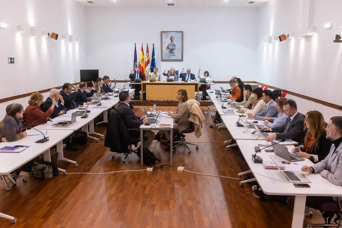 Pleno del Ayuntamiento 2025_11_28