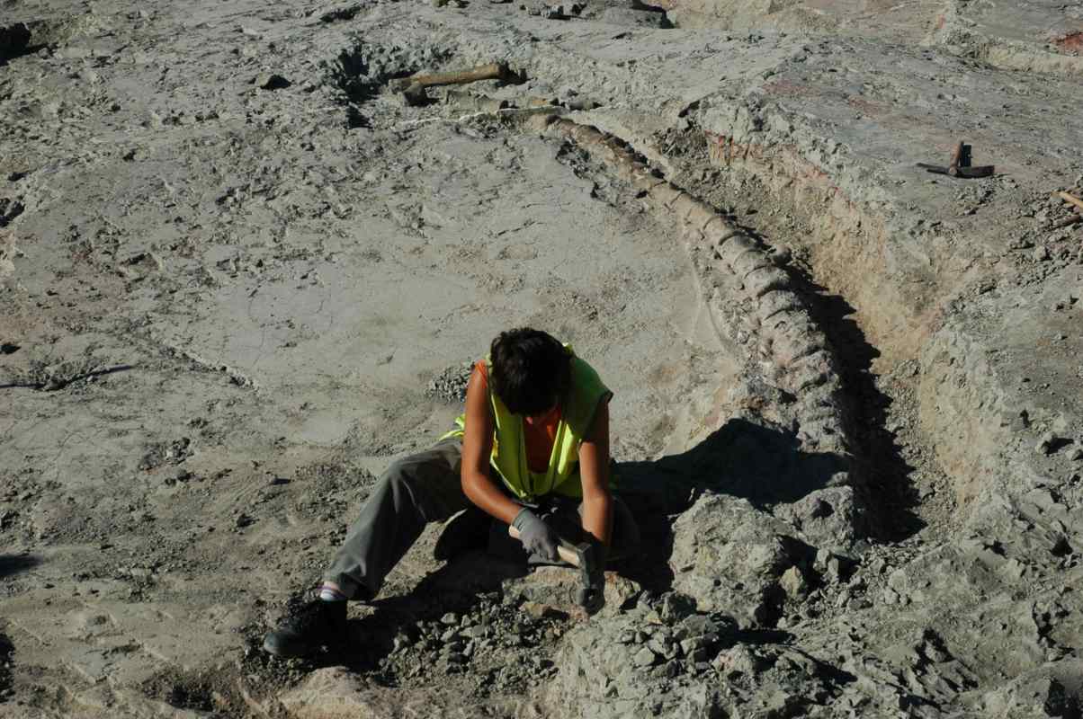 Imágenes de las excavaciones en Santa María de Poyos. dinosaruio paleontologis