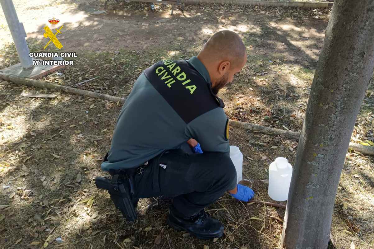 Un agente de la Guardia Civil en una colonia felina.