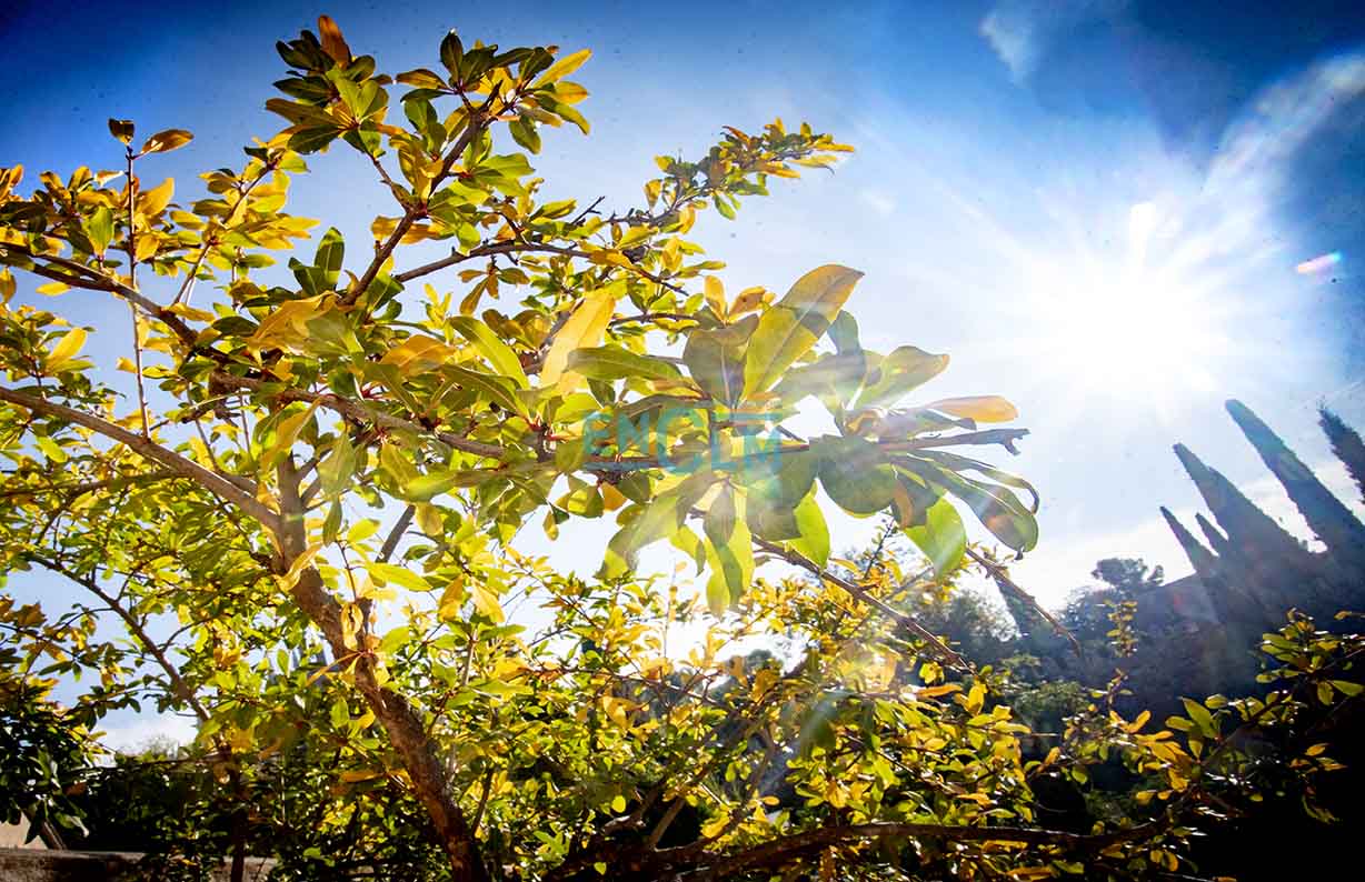 Tiempo, día soleado, clima, otoño, sol, estaciones