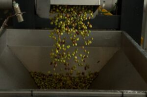 Las cooperativas busca, ante todo, la calidad.